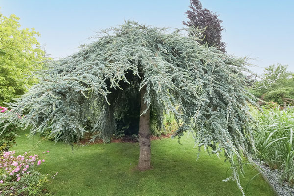 Entretien de jardin Saint-Ouen-d'Attez