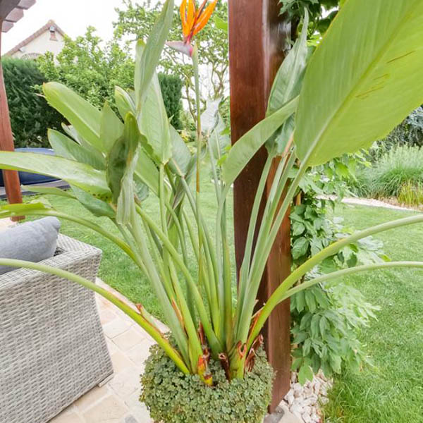 Entretien de jardin, Saint-Ouen-d'Attez
